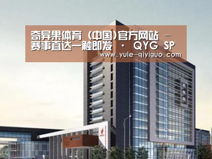 案例展示七