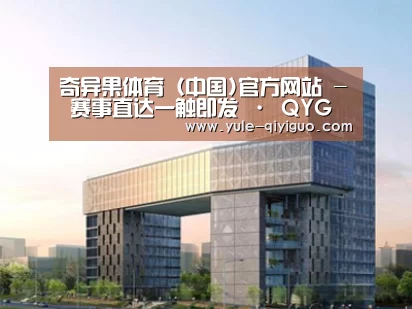 案例展示四