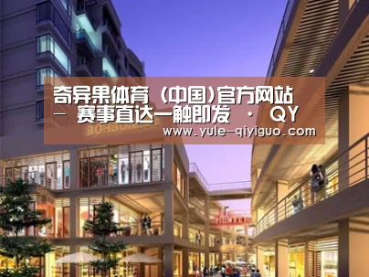 案例展示一