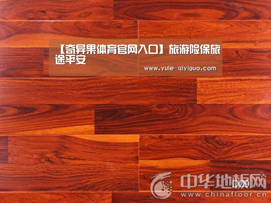 【奇异果体育官网入口】旅游险保旅途平安(图1) 奇异果体育直播